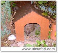 Photo  Copyright 2005 Rosa Foulger